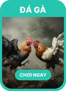 Chơi đá gà gg88