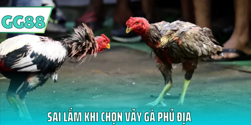 Sai lầm khi chọn vảy gà phủ địa