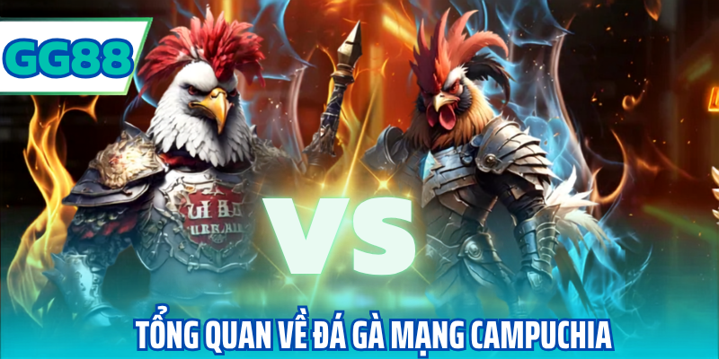 Tổng quan về đá gà mạng campuchia