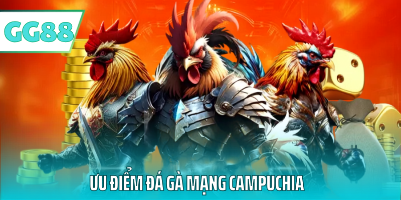 Ưu điểm đá gà mạng campuchia